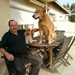 La Meridienne * Sète
